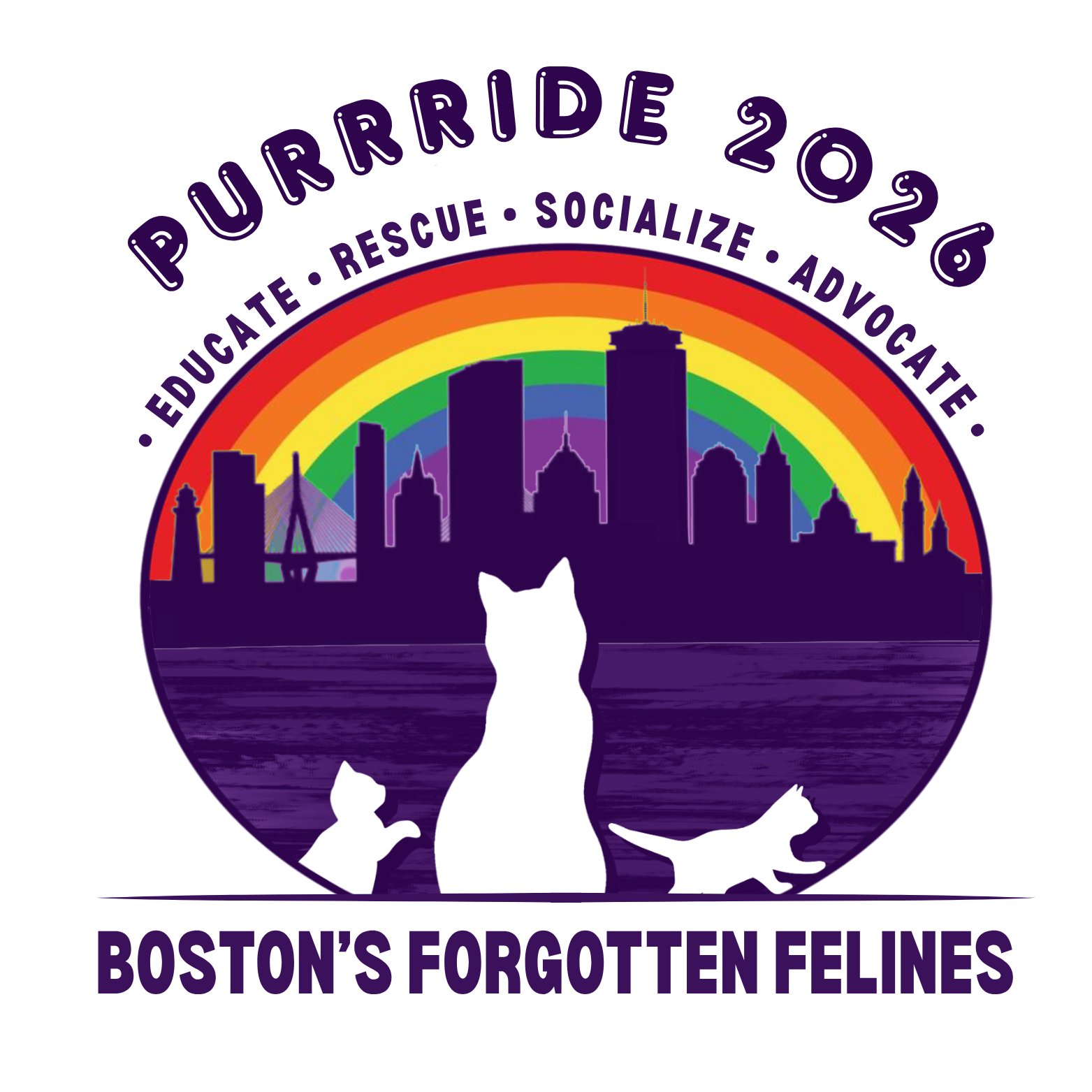 Boston's Forgotten Felines