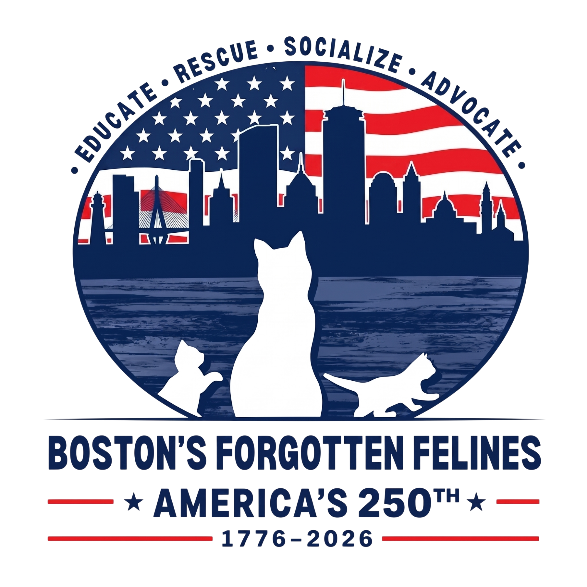 Boston's Forgotten Felines