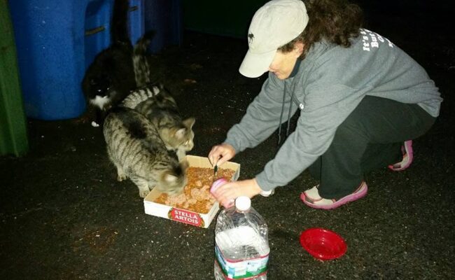 volunteer_danapel